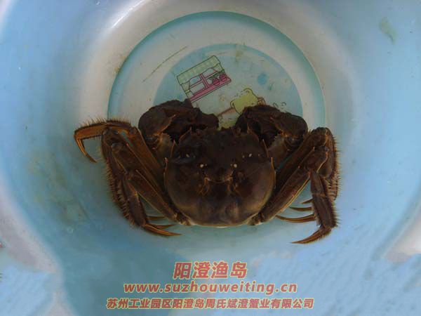 ꖳκlз4