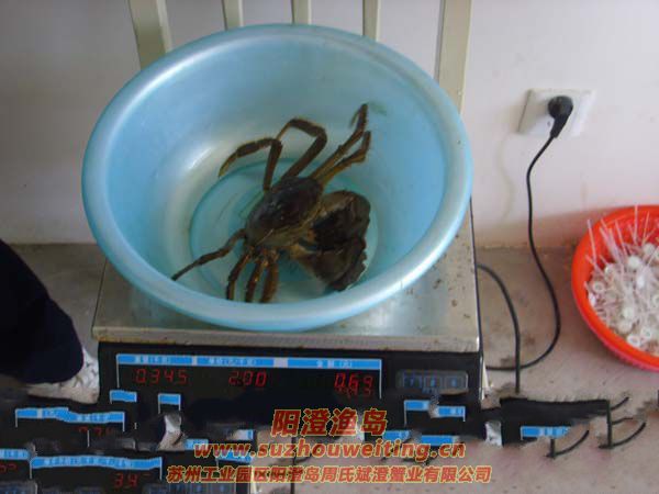 ꖳκlз1