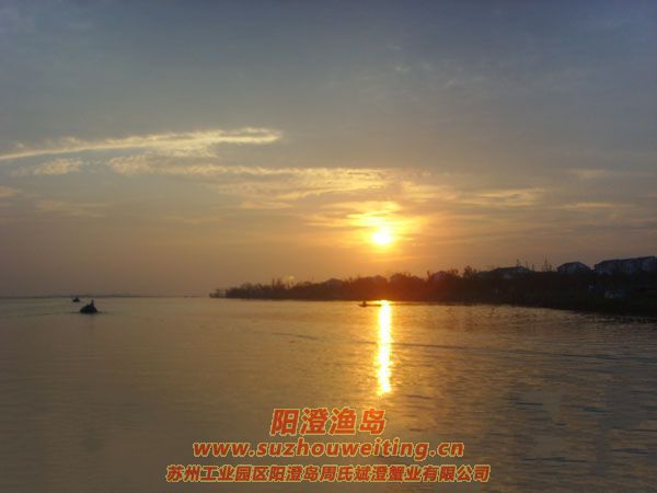 陽澄湖半島養(yǎng)蟹人的一天圖片一