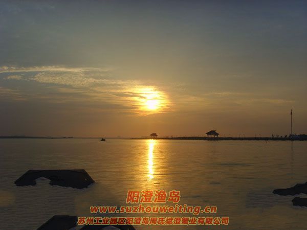 陽澄湖半島養(yǎng)蟹人的一天圖片二