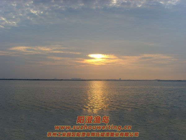 陽澄湖半島養(yǎng)蟹人的一天圖片四