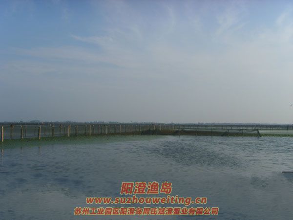 陽澄湖半島養(yǎng)蟹人的一天圖片八